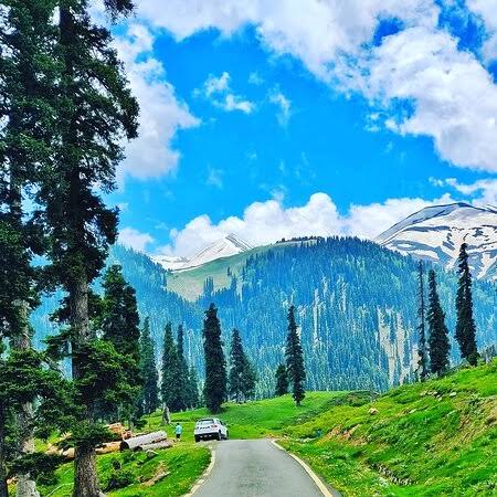 BOTAPATHRI GULMARG 